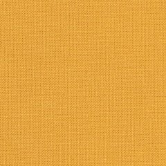Plagg & Design